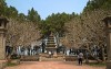 Chùa Thiên Mụ, Huế