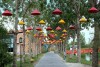 Suối Khoáng Nóng Alba Thanh Tân, Huế