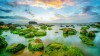 Bãi Rạn Nam Ô, Đà Nẵng