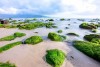 Bãi Rạn Nam Ô, Đà Nẵng