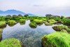 Bãi Rạn Nam Ô, Đà Nẵng