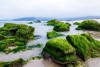 Bãi Rạn Nam Ô, Đà Nẵng