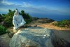 Đỉnh bàn cờ, Đà Nẵng