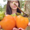 Cầu Đất Garden Coffee Đà Lạt