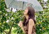 Cầu Đất Garden Coffee Đà Lạt
