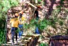 Combo vé Đi bộ trên không và tham quan Thung lũng tình yêu Đà Lạt