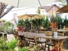 Bếp ăn Đi ăn lẩu, Đà Lạt