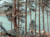 Hướng dẫn viên địa phương
