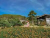 [ĐÃ ĐỔI ĐỊA CHỈ] QUE garden Đà Lạt