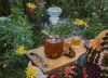 Tiệm bò rất chill, Đà Lạt