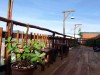 May coffee - Tiệm cà phê tháng 5, Đà Lạt