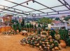Đặt chỗ tại TIỆM NƯỚNG MƠ MÀNG