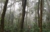 Tour Trekking tại vườn quốc gia Bidoup - Núi Bà