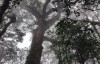 Tour Trekking tại vườn quốc gia Bidoup - Núi Bà