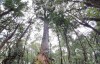 Tour Trekking tại vườn quốc gia Bidoup - Núi Bà