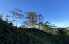 Tour Trekking Tà Năng – Phan Dũng 2N1Đ