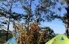 Tour Trekking Tà Năng – Phan Dũng 2N1Đ