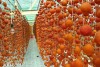 Tham quan vườn hồng Lễ Vân Đà Lạt