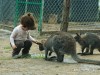 Tour tham quan sở thú Zoodoo Đà Lạt