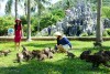 Tour Đảo khỉ - Suối hoa lan một ngày từ Nha Trang