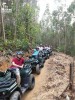 Công viên thám hiểm Kong Forest