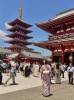 Tour Nhật Bản 6N5Đ 2026 | Rực Rỡ Mùa Hoa – Osaka – Kyoto – Phú Sĩ – Tokyo (Vietjet Air)