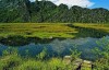 Đầm Vân Long, Ninh Bình