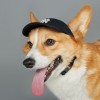 Mũ cho pet MLB Basic Logo Cap