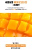Thạch nghệ vị xoài Nano Curcumin Jelly Hàn Quốc 1 hộp 32 gói 20g