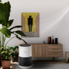 Máy lọc không khí Winix Compact AAPU500
