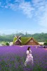 Tour check in những điểm hot tại Đà Lạt 