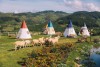 Tour check in những điểm hot tại Đà Lạt 