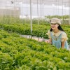 Tour tham quan ngoại thành Đà Lạt 