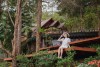 Rừng giao hưởng Đà Lạt 