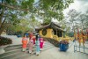 Tea Resort Prenn