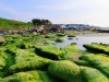 Biển Cổ Thạch, Bình Thuận