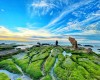 Biển Cổ Thạch, Bình Thuận