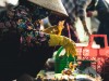 Tour đồi cát Mũi Né một ngày khởi hành từ Tp Hồ Chí Minh