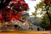 Một ngày ghé thăm di sản thế giới, khởi hành từ Busan - Gyeongju, Seokgulam, Bulguksa Temple