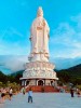 Xe riêng đưa/đón sân bay Đà Nẵng