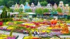 Combo vé tham quan Everland và xe đưa đón từ Seoul