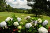 Sân golf Đà Lạt Palace