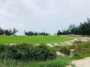 Sân golf FLC Quảng Bình