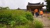Làng dân gian Yangdong, Gyeongju