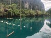 Tour 1 Ngày Quảng Bình: Động Phong Nha - Zipline Sông Chày Hang Tối