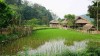 Tour Hà Giang - Khám phá Quản Bạ, Đồng Văn, Lũng Cú, ngồi thuyền trên sông Nho Quế chiêm ngưỡng hẻm vực Tu Sản