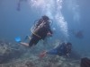 Scuba Diving Phú Quốc - Chinh Phục Độ Sâu Không Trọng Lực