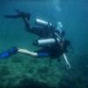 Scuba Diving Phú Quốc - Chinh Phục Độ Sâu Không Trọng Lực