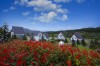 Đà Lạt Hocane - Tận hưởng kỳ nghỉ dưỡng sang trọng tại Dalat Wonder Resort