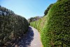 Maze Land - Công viên mê cung, Jeju